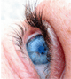 eye1.jpg